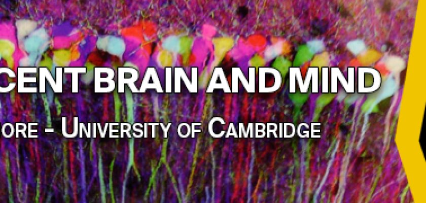 SISSA Colloquium — The adolescent brain and mind — Sarah-Jayne Blakemore SISSA Colloquium — The adolescent brain and mind — Sarah-Jayne Blakemore